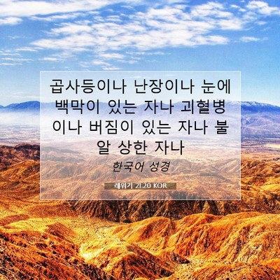 Picture 07 - 레위기 21:20 KOR - 곱사등이나 난장이나 눈에 백막이 - Bible Verse Picture