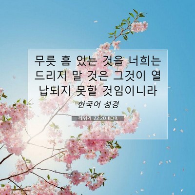 Picture 07 - 레위기 22:20 KOR - 무릇 흠 있는 것을 너희는 드리지 말 - Bible Verse Picture