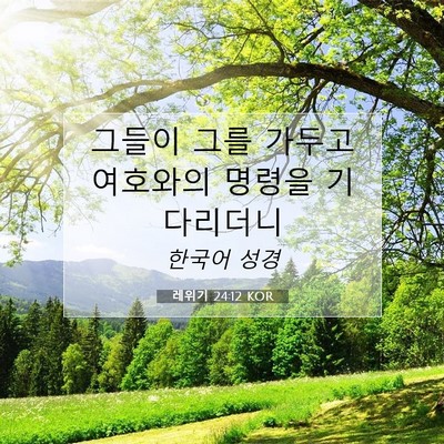 Picture 07 - 레위기 24:12 KOR - 그들이 그를 가두고 여호와의 명령을 - Bible Verse Picture