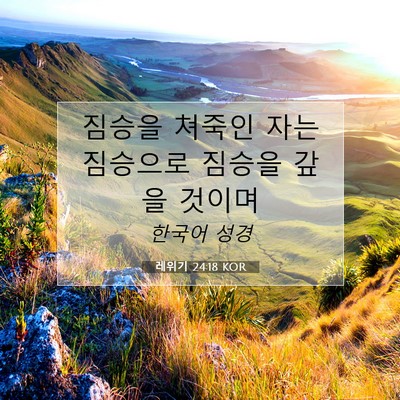 Picture 07 - 레위기 24:18 KOR - 짐승을 쳐죽인 자는 짐승으로 짐승을 - Bible Verse Picture