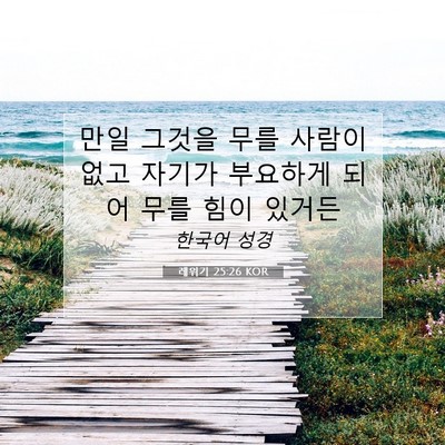 Picture 07 - 레위기 25:26 KOR - 만일 그것을 무를 사람이 없고 - Bible Verse Picture