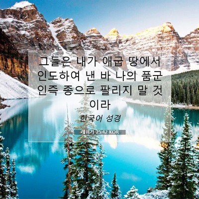 Picture 07 - 레위기 25:42 KOR - 그들은 내가 애굽 땅에서 인도하여 - Bible Verse Picture