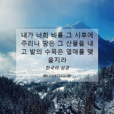 Picture 07 - 레위기 26:4 KOR - 내가 너희 비를 그 시후에 주리니 - Bible Verse Picture