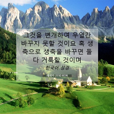 Picture 07 - 레위기 27:10 KOR - 그것을 변개하여 우열간 바꾸지 못할 - Bible Verse Picture