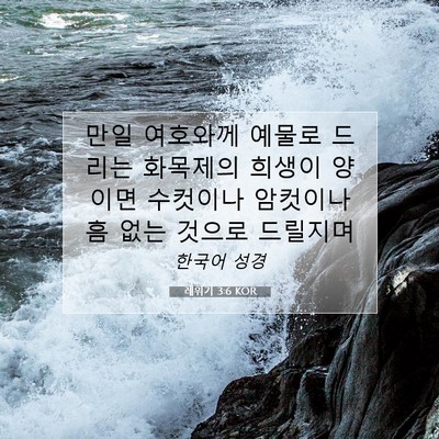 Picture 07 - 레위기 3:6 KOR - 만일 여호와께 예물로 드리는 - Bible Verse Picture