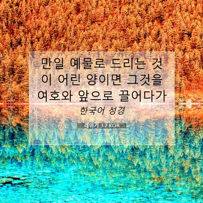 Picture 07 - 레위기 3:7 KOR - 만일 예물로 드리는 것이 어린 - Bible Verse Picture