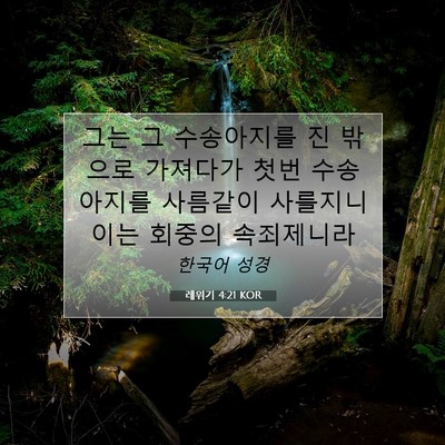 Picture 07 - 레위기 4:21 KOR - 그는 그 수송아지를 진 밖으로 - Bible Verse Picture