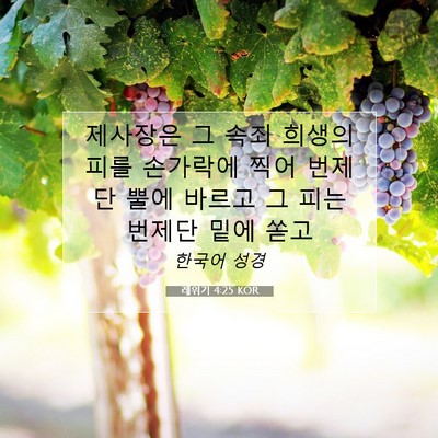 Picture 07 - 레위기 4:25 KOR - 제사장은 그 속죄 희생의 피를 - Bible Verse Picture