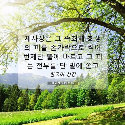 Picture 07 - 레위기 4:34 KOR - 제사장은 그 속죄제 희생의 피를 - Bible Verse Picture