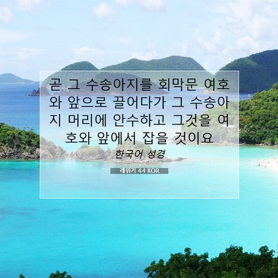 Picture 07 - 레위기 4:4 KOR - 곧 그 수송아지를 회막문 여호와 - Bible Verse Picture