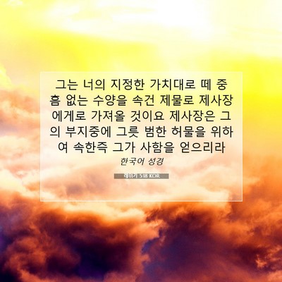 Picture 07 - 레위기 5:18 KOR - 그는 너의 지정한 가치대로 떼 중 흠 - Bible Verse Picture
