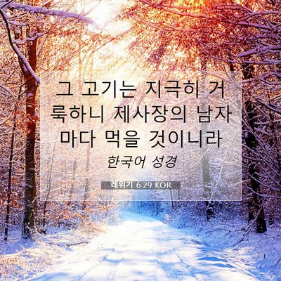 Picture 07 - 레위기 6:29 KOR - 그 고기는 지극히 거룩하니 제사장의 - Bible Verse Picture