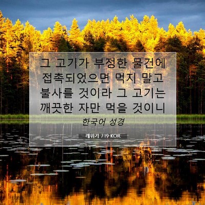 Picture 07 - 레위기 7:19 KOR - 그 고기가 부정한 물건에 - Bible Verse Picture