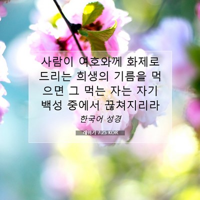 Picture 07 - 레위기 7:25 KOR - 사람이 여호와께 화제로 드리는 - Bible Verse Picture
