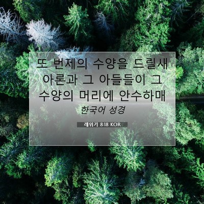 Picture 07 - 레위기 8:18 KOR - 또 번제의 수양을 드릴새 아론과 그 - Bible Verse Picture
