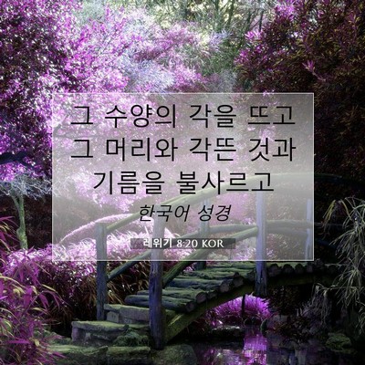 Picture 07 - 레위기 8:20 KOR - 그 수양의 각을 뜨고 그 머리와 각뜬 - Bible Verse Picture