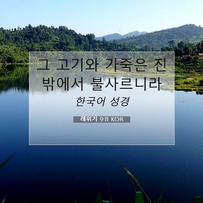 Picture 07 - 레위기 9:11 KOR - 그 고기와 가죽은 진 밖에서 - Bible Verse Picture