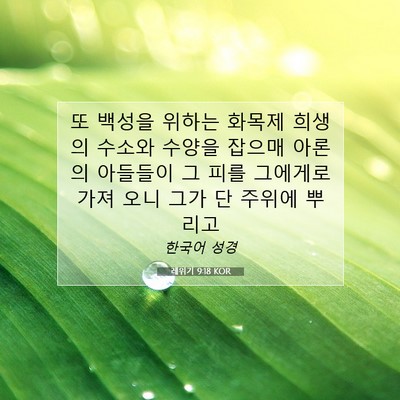 Picture 07 - 레위기 9:18 KOR - 또 백성을 위하는 화목제 희생의 - Bible Verse Picture