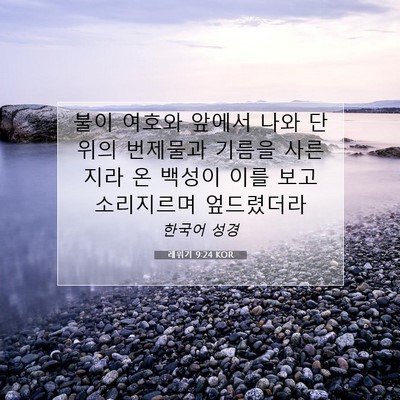 Picture 07 - 레위기 9:24 KOR - 불이 여호와 앞에서 나와 단 위의 - Bible Verse Picture