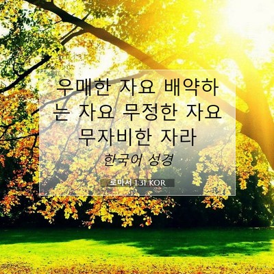 Picture 07 - 로마서 1:31 KOR - 우매한 자요 배약하는 자요 무정한 - Bible Verse Picture