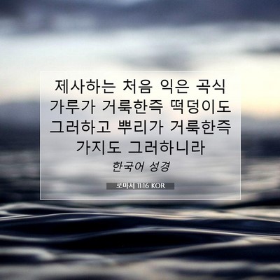 Picture 07 - 로마서 11:16 KOR - 제사하는 처음 익은 곡식 가루가 - Bible Verse Picture