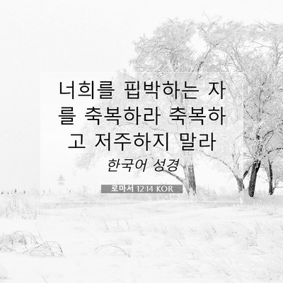 Picture 07 - 로마서 12:14 KOR - 너희를 핍박하는 자를 축복하라 - Bible Verse Picture