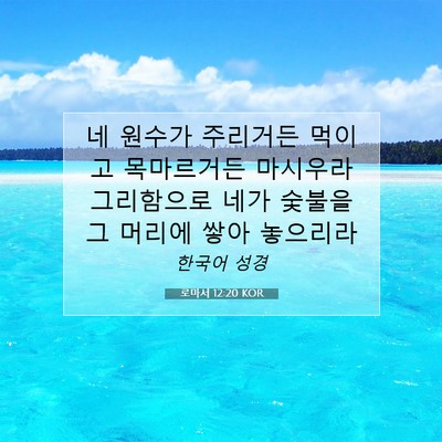 Picture 07 - 로마서 12:20 KOR - 네 원수가 주리거든 먹이고 - Bible Verse Picture