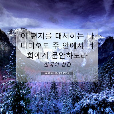 Picture 07 - 로마서 16:22 KOR - 이 편지를 대서하는 나 더디오도 주 - Bible Verse Picture
