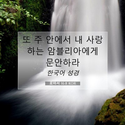 Picture 07 - 로마서 16:8 KOR - 또 주 안에서 내 사랑하는 - Bible Verse Picture