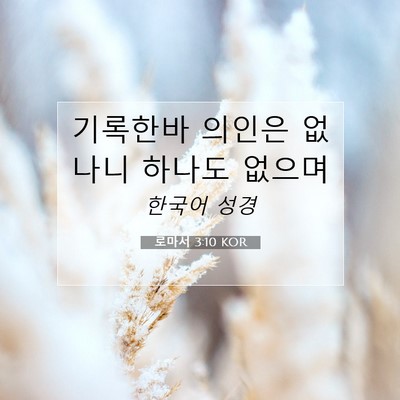 Picture 07 - 로마서 3:10 KOR - 기록한바 의인은 없나니 하나도 - Bible Verse Picture