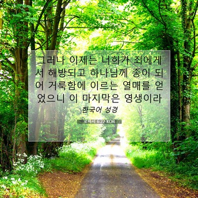 Picture 07 - 로마서 6:22 KOR - 그러나 이제는 너희가 죄에게서 - Bible Verse Picture