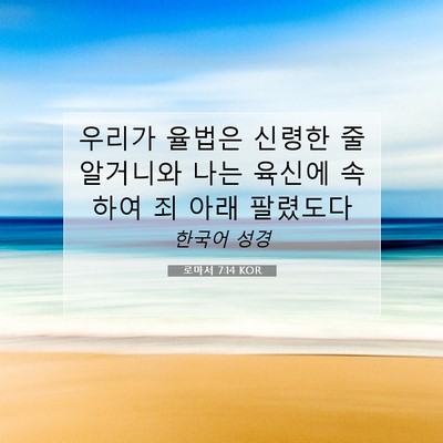 Picture 07 - 로마서 7:14 KOR - 우리가 율법은 신령한 줄 알거니와 - Bible Verse Picture