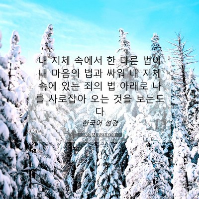 Picture 07 - 로마서 7:23 KOR - 내 지체 속에서 한 다른 법이 내 - Bible Verse Picture