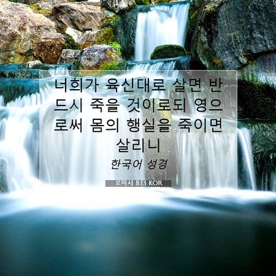 Picture 07 - 로마서 8:13 KOR - 너희가 육신대로 살면 반드시 죽을 - Bible Verse Picture