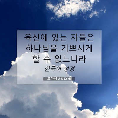 Picture 07 - 로마서 8:8 KOR - 육신에 있는 자들은 하나님을 - Bible Verse Picture