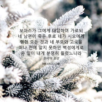 Picture 07 - 룻기 2:11 KOR - 보아스가 그에게 대답하여 가로되 네 - Bible Verse Picture