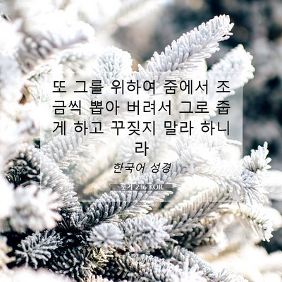Picture 07 - 룻기 2:16 KOR - 또 그를 위하여 줌에서 조금씩 뽑아 - Bible Verse Picture