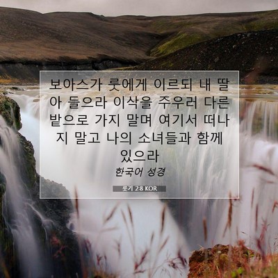 Picture 07 - 룻기 2:8 KOR - 보아스가 룻에게 이르되 내 딸아 - Bible Verse Picture