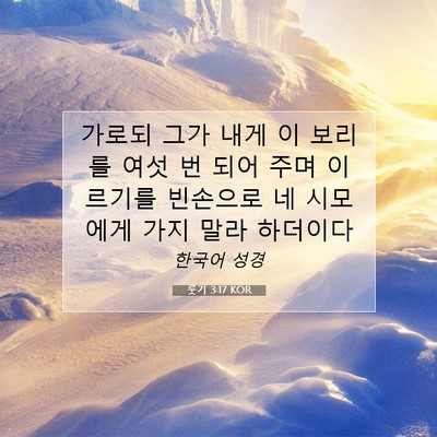 Picture 07 - 룻기 3:17 KOR - 가로되 그가 내게 이 보리를 여섯 번 - Bible Verse Picture