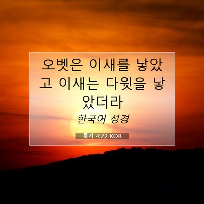 Picture 07 - 룻기 4:22 KOR - 오벳은 이새를 낳았고 이새는 다윗을 - Bible Verse Picture