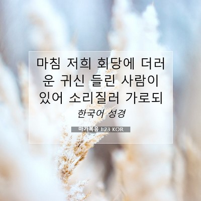 Picture 07 - 마가복음 1:23 KOR - 마침 저희 회당에 더러운 귀신 들린 - Bible Verse Picture
