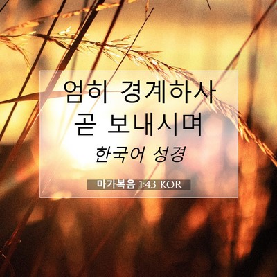Picture 07 - 마가복음 1:43 KOR - 엄히 경계하사 곧 - Bible Verse Picture