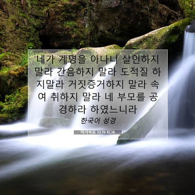 Picture 07 - 마가복음 10:19 KOR - 네가 계명을 아나니 살인하지 말라 - Bible Verse Picture