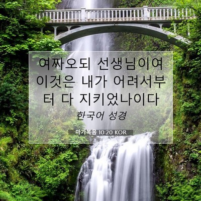 Picture 07 - 마가복음 10:20 KOR - 여짜오되 선생님이여 이것은 내가 - Bible Verse Picture