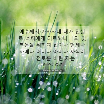 Picture 07 - 마가복음 10:29 KOR - 예수께서 가라사대 내가 진실로 - Bible Verse Picture