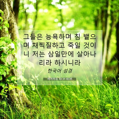 Picture 07 - 마가복음 10:34 KOR - 그들은 능욕하며 침 뱉으며 - Bible Verse Picture