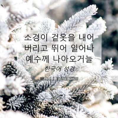 Picture 07 - 마가복음 10:50 KOR - 소경이 겉옷을 내어버리고 뛰어 - Bible Verse Picture