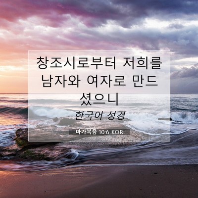 Picture 07 - 마가복음 10:6 KOR - 창조시로부터 저희를 남자와 여자로 - Bible Verse Picture