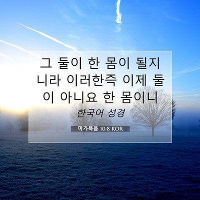 Picture 07 - 마가복음 10:8 KOR - 그 둘이 한 몸이 될지니라 이러한즉 - Bible Verse Picture
