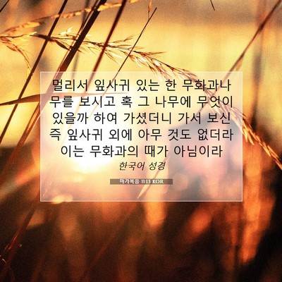Picture 07 - 마가복음 11:13 KOR - 멀리서 잎사귀 있는 한 무화과나무를 - Bible Verse Picture